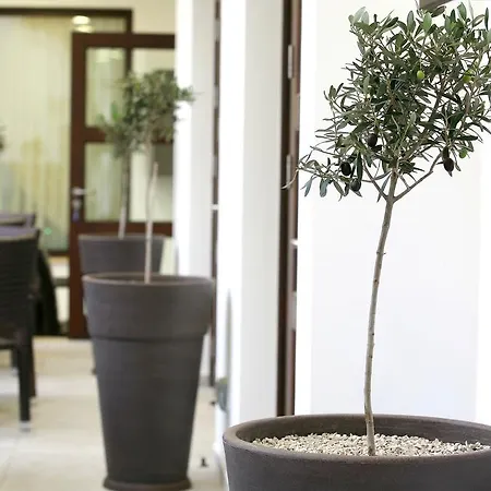 Royiatiko Hotel